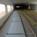 Galvanized Silo with Automatic Feeding Equipments